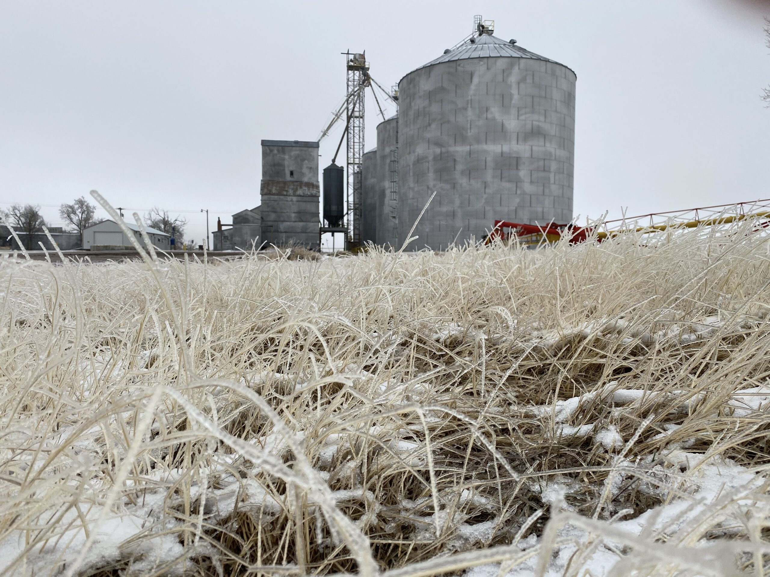 Frost on a Farmers Field