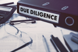 Due Diligence Period