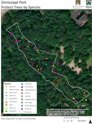 Sinnissippi Park Tree Survey A3E+OES