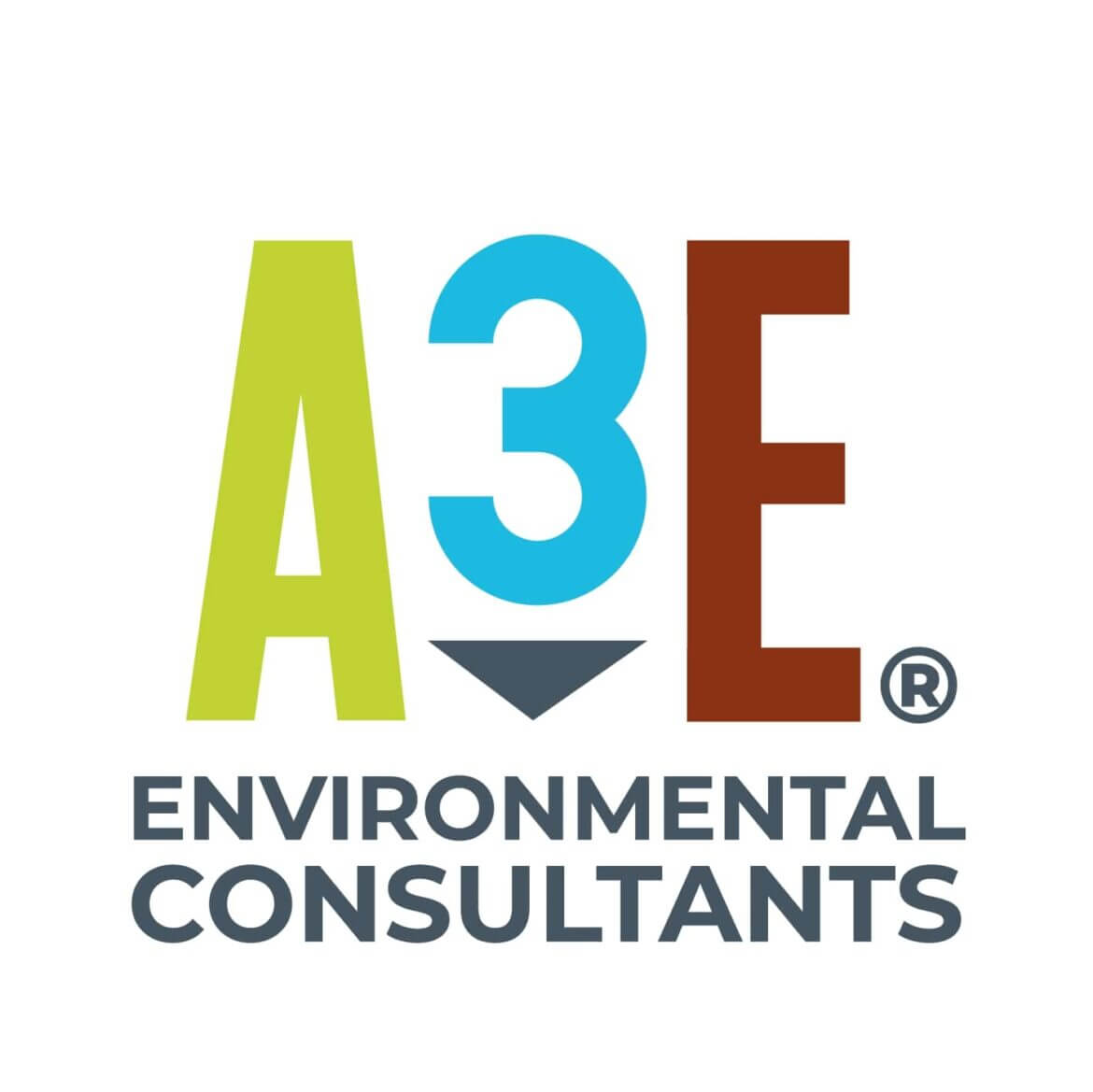 A3E Logo 2022_23mar22_color - A3 Environmental Consultants