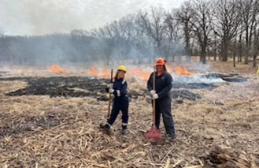 A3E doing Habitat Enhancement and restoration in Cook County IL