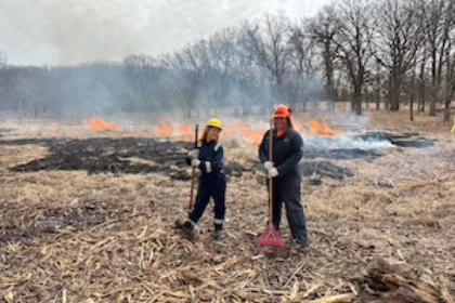 A3E doing Habitat Enhancement and restoration in Cook County IL