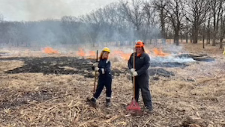A3E doing Habitat Enhancement and restoration in Cook County IL