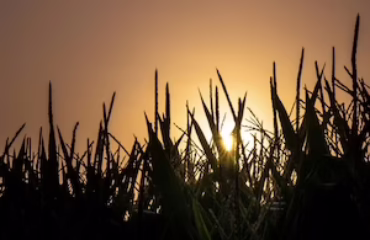 Cover Photo for the Winneshiek Watershed Plan Project Profile