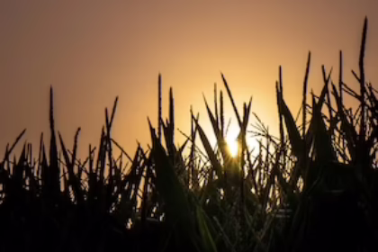 Cover Photo for the Winneshiek Watershed Plan Project Profile