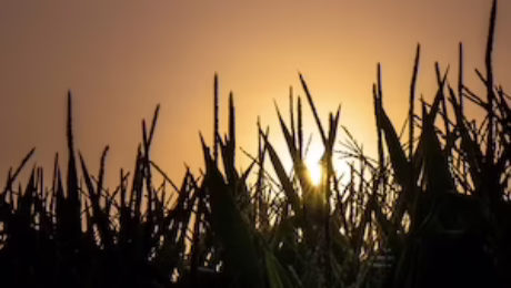 Cover Photo for the Winneshiek Watershed Plan Project Profile